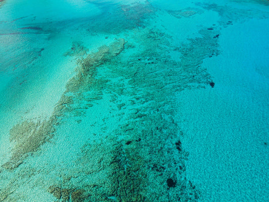 The Hidden World Beneath the Water: Why Underwater Exploration Is So Fascinating