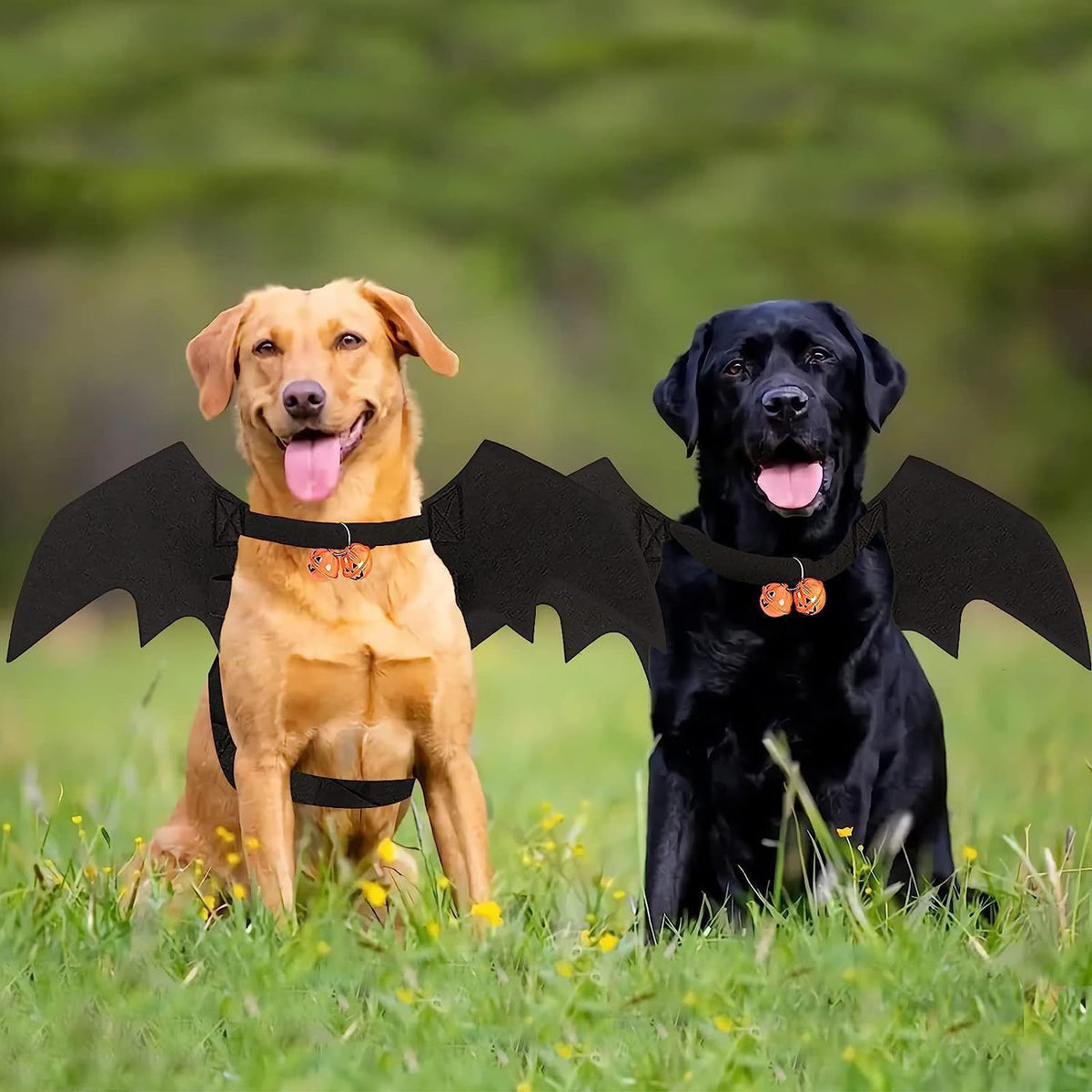 Bat Wing Pet Costume - additional product photo