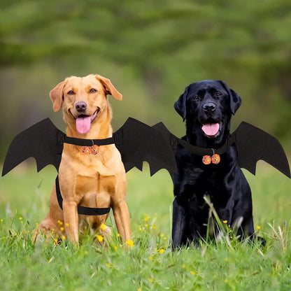Bat Wing Pet Costume - additional product photo