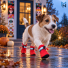 Reflective drawstring dog boots lifestyle image